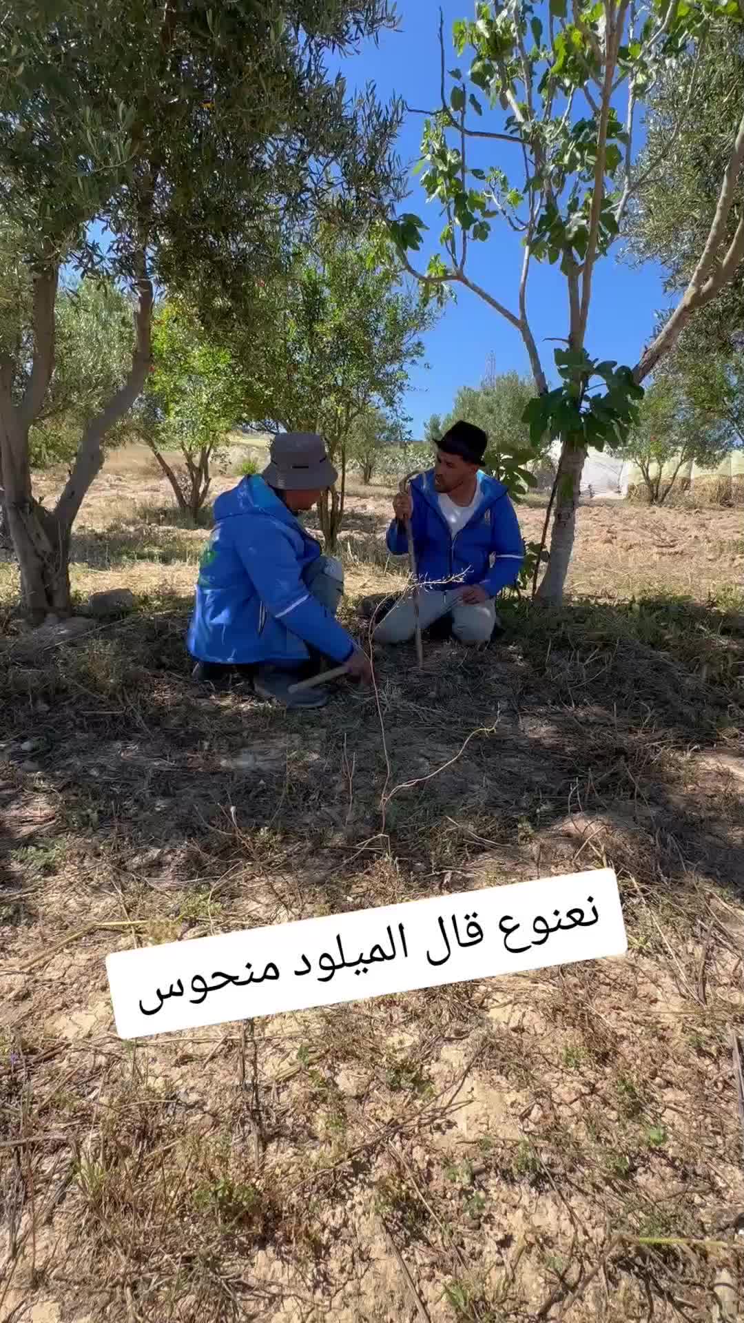 @الحاج نعنوع
