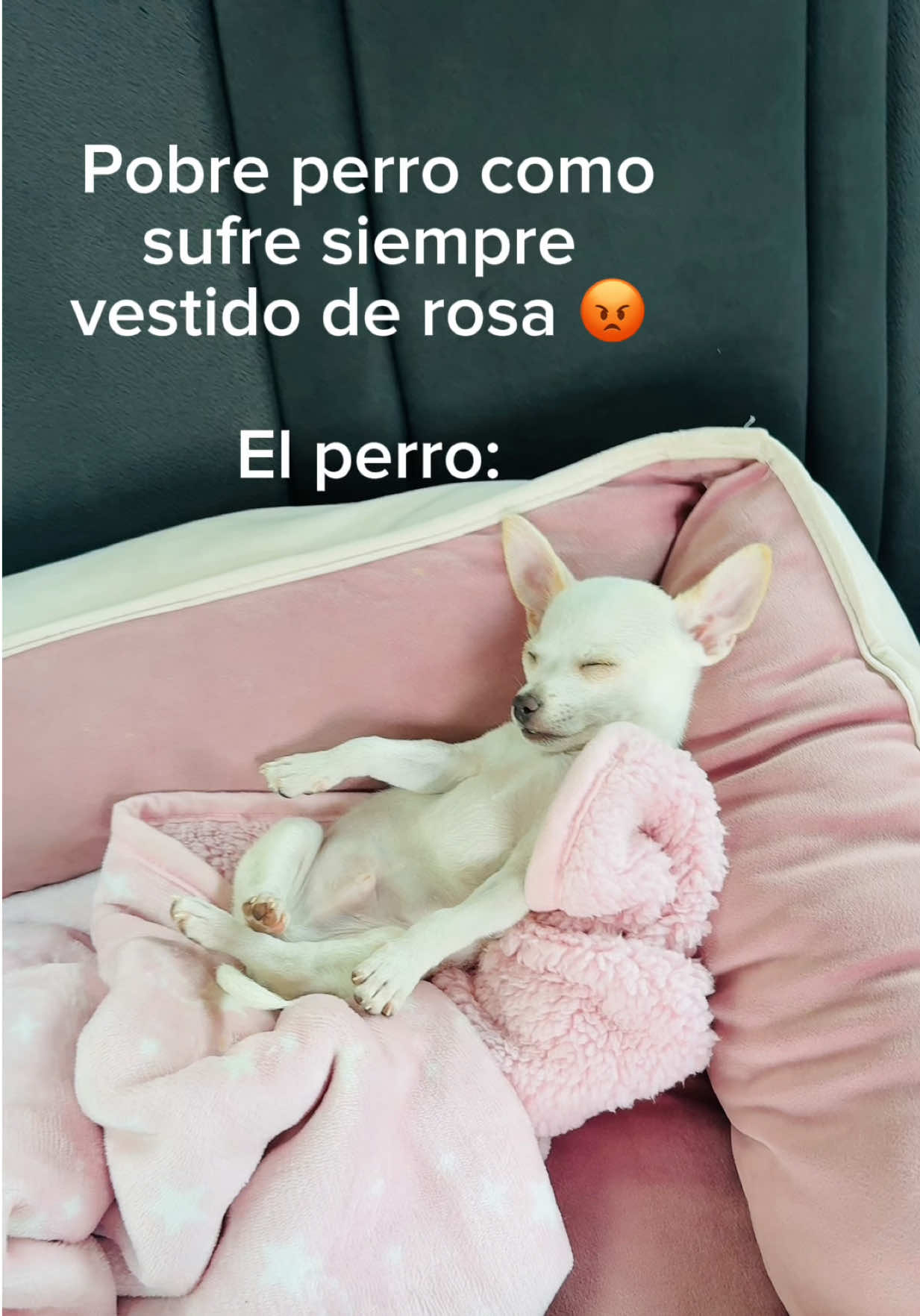 @Sweet Dreams