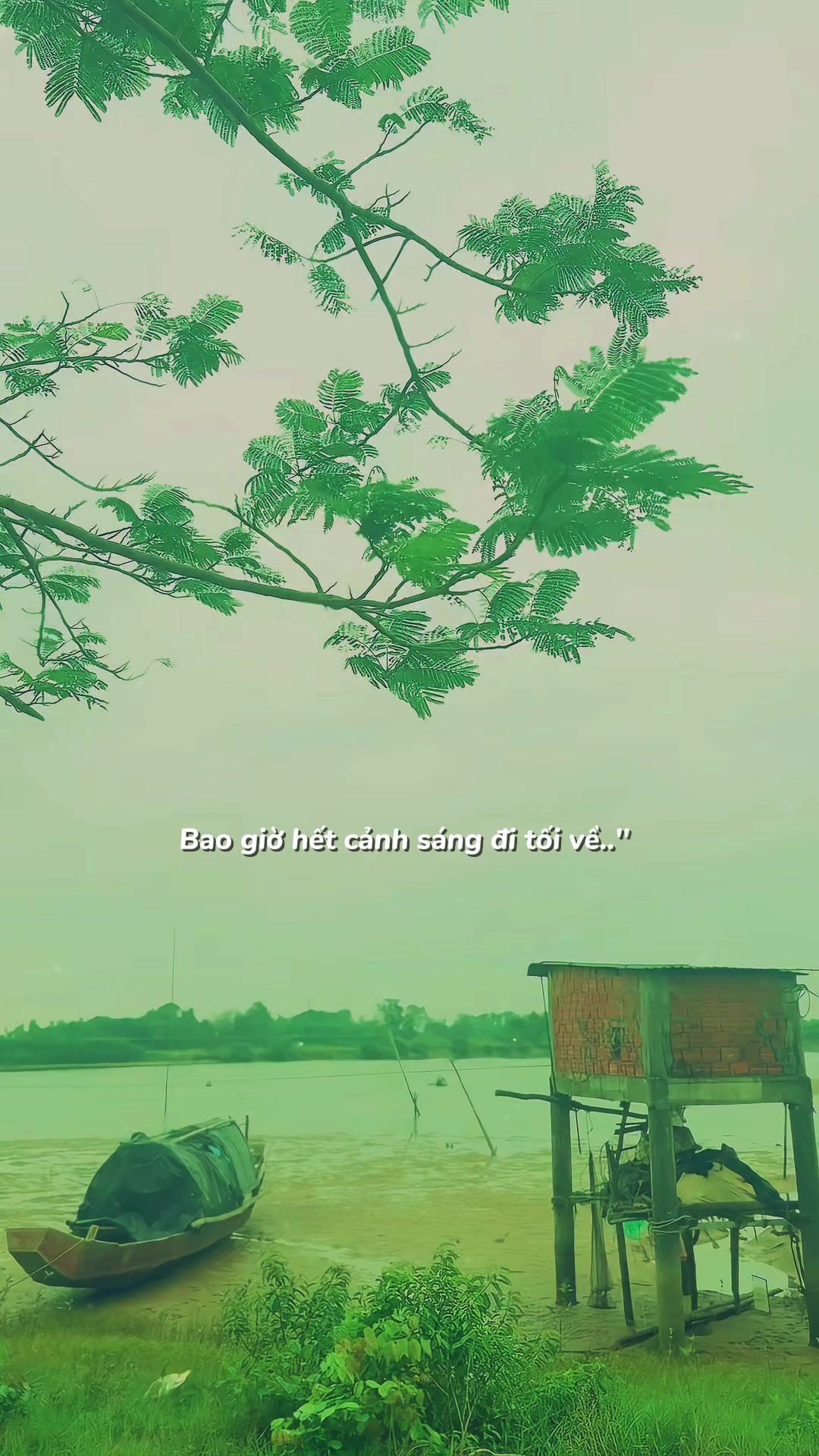 @Nguyễn T&ugrave;ng Sơn