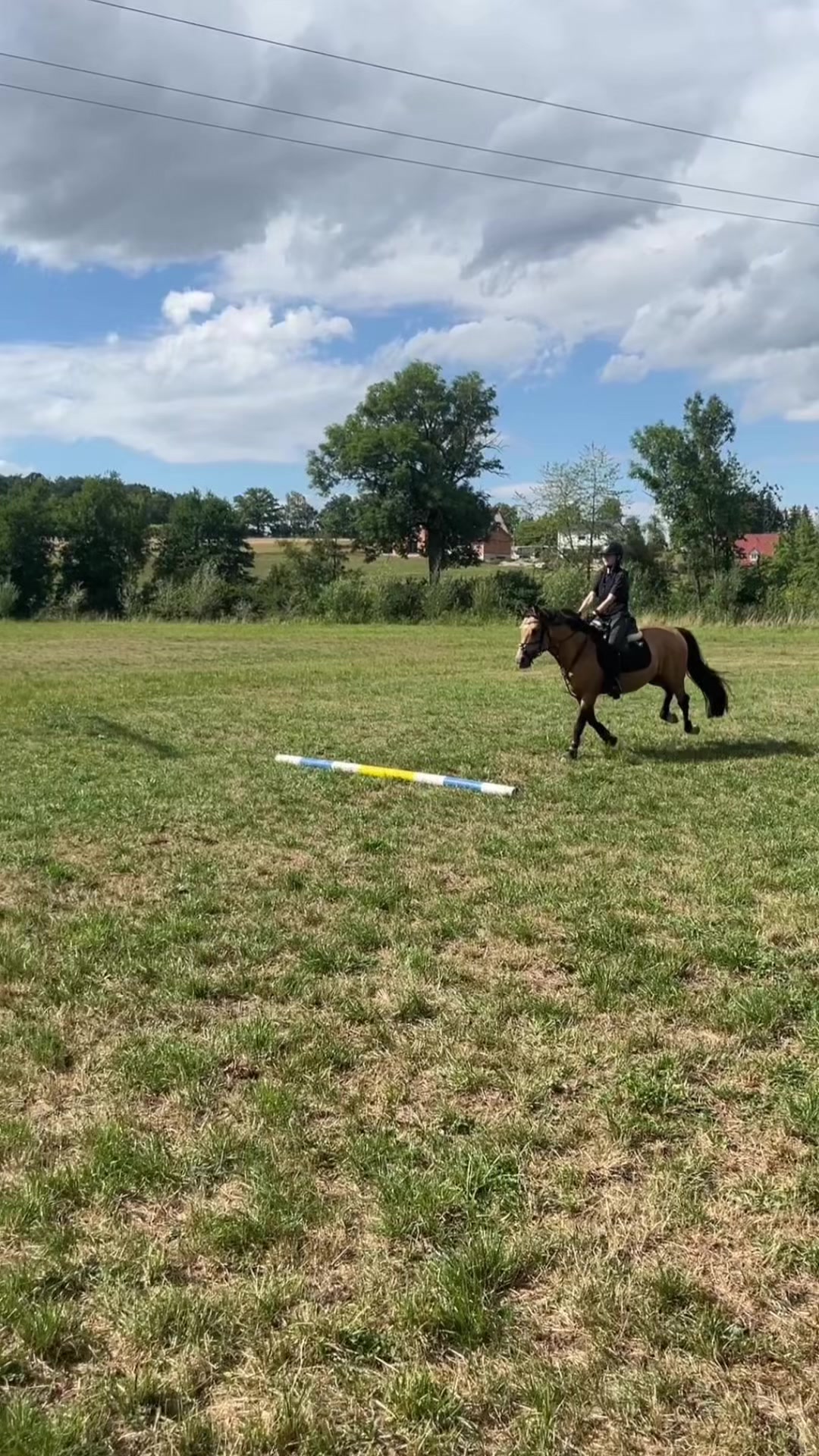 @Daily Pony‘s⚡️
