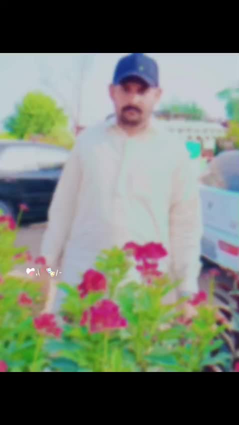@m waqas
