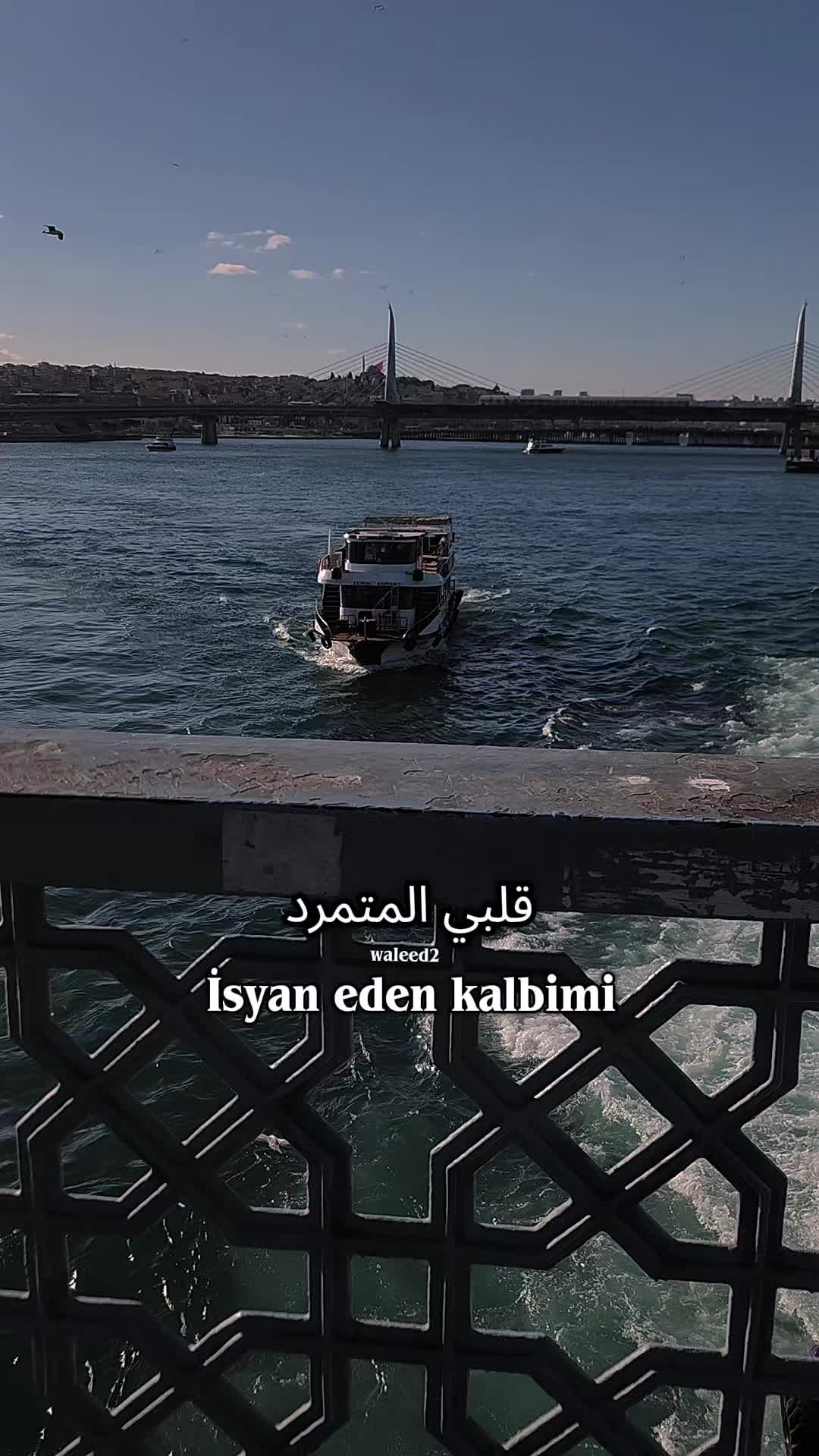 @Waleed 2