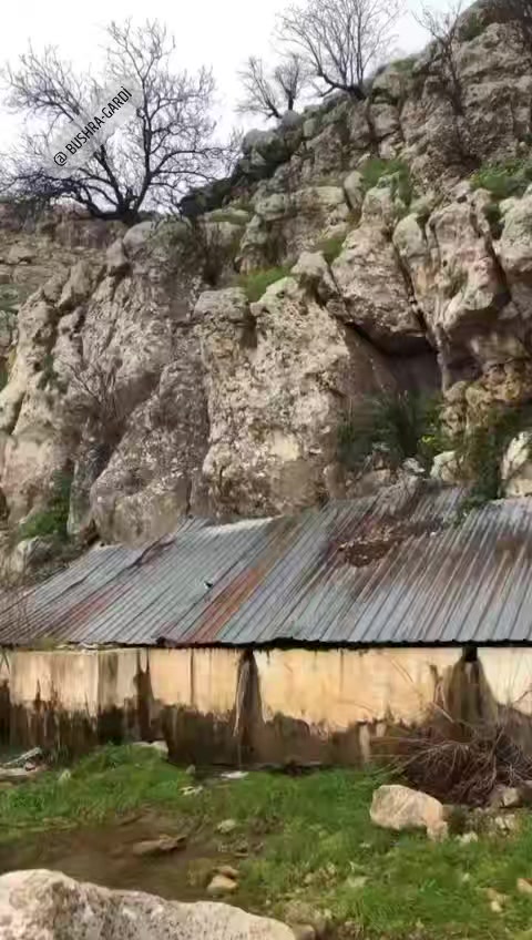 @buşhra.gardii🦋