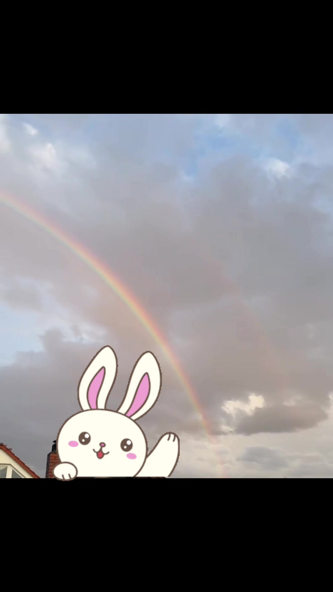 @Bunnytakesnotes1111