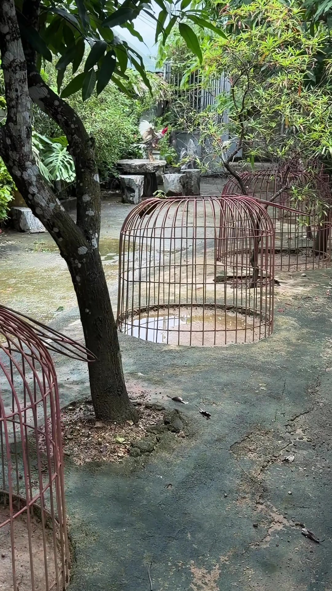 @Quốc khánh