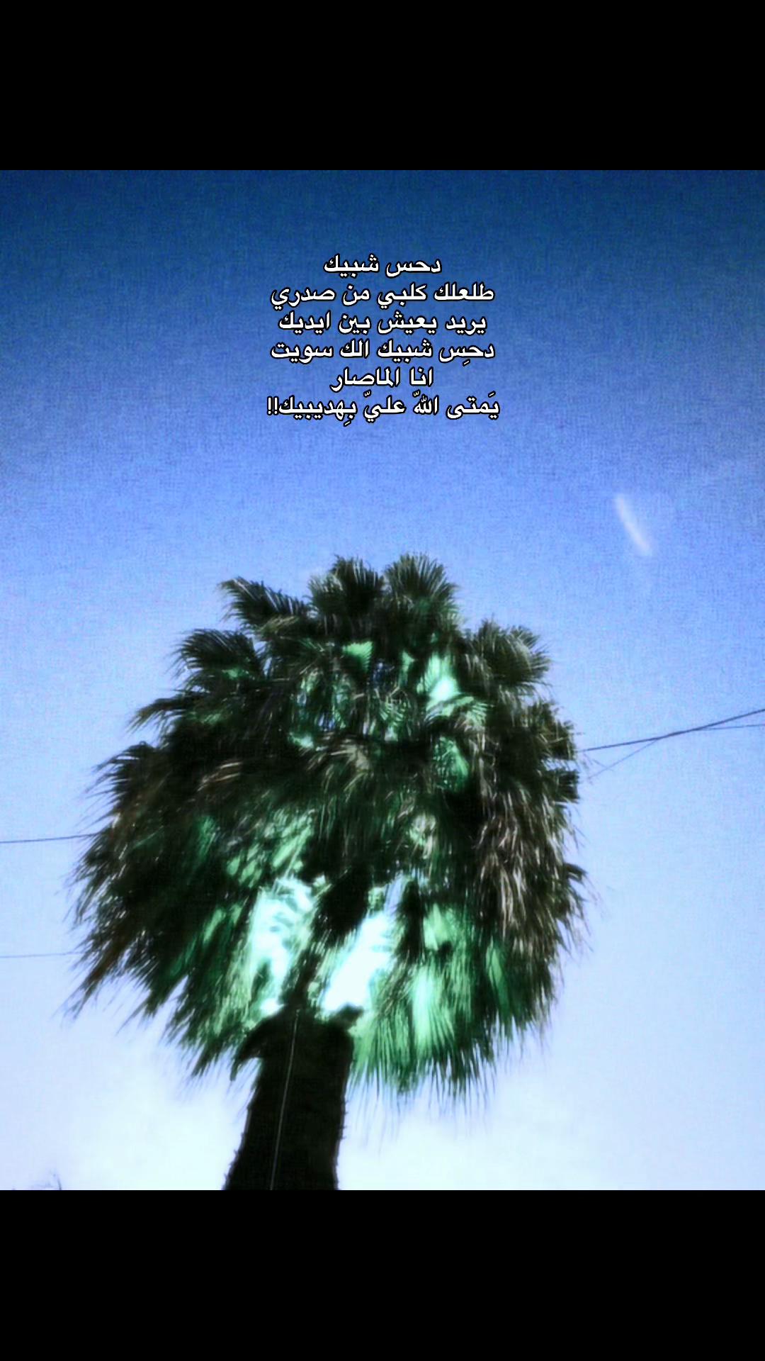 @محمَد .