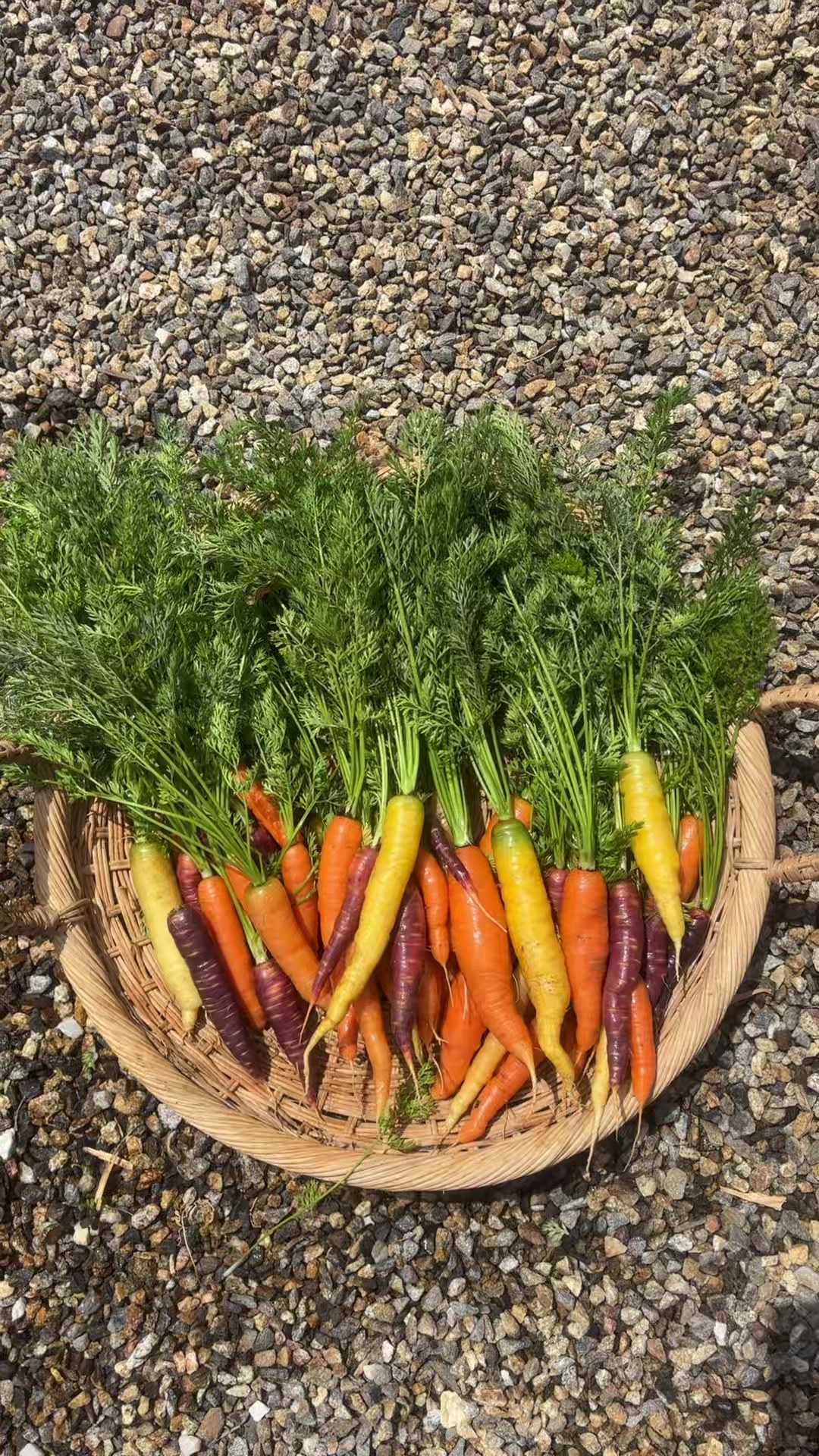 @earthboundgardening