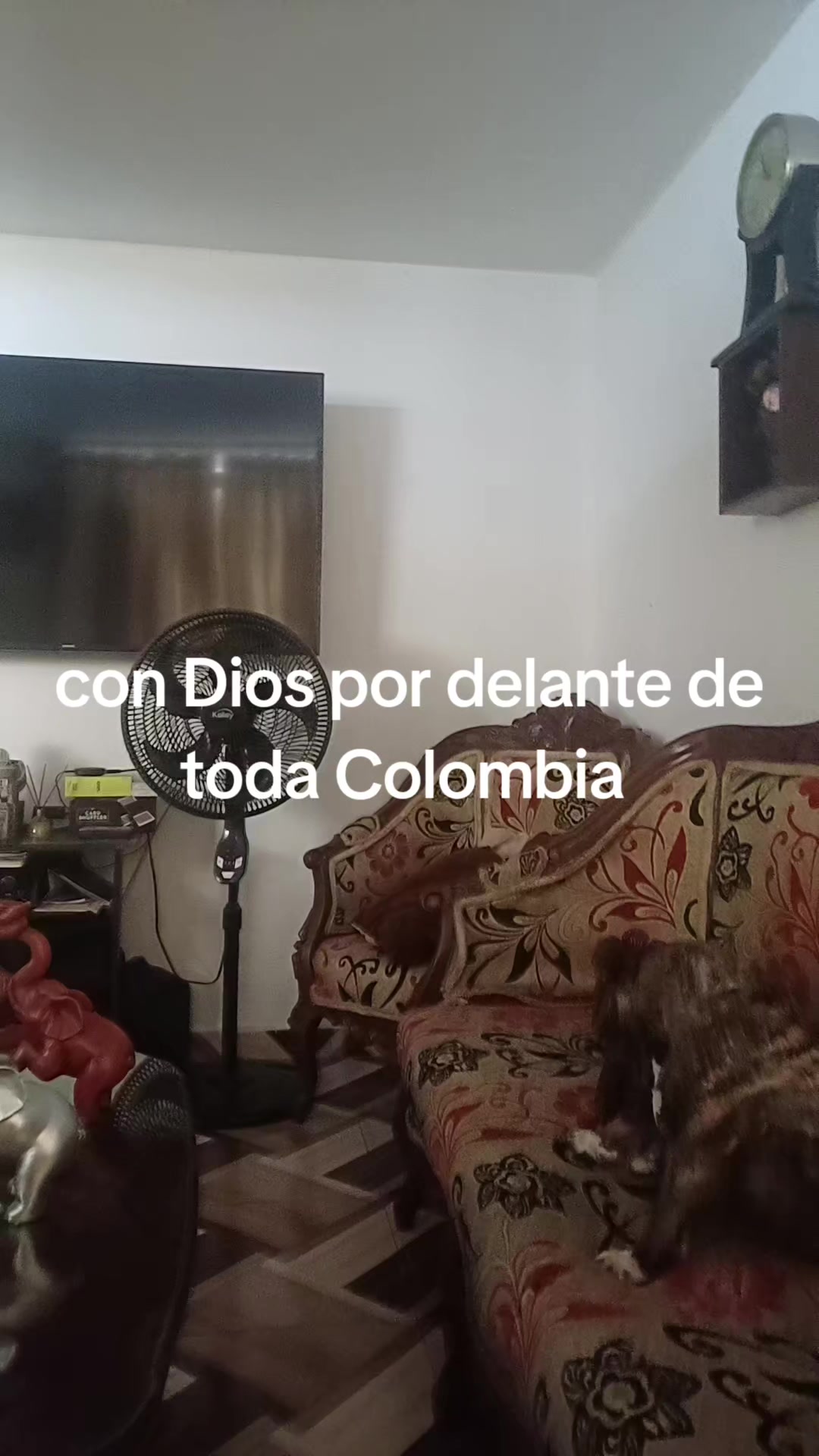 @dulce luna