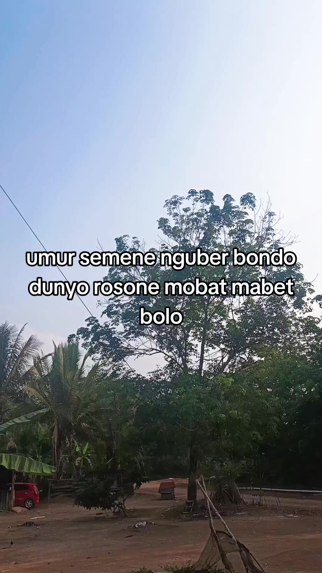 @BINI MU🌞