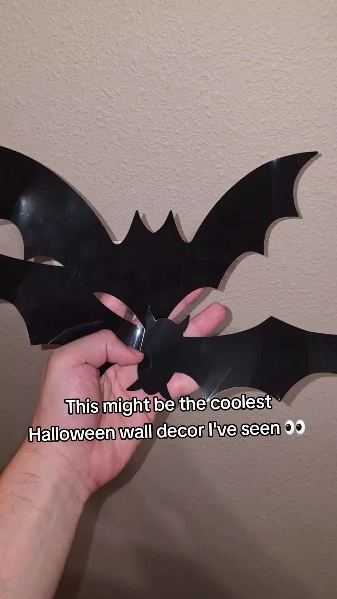 @NinjaRacoony