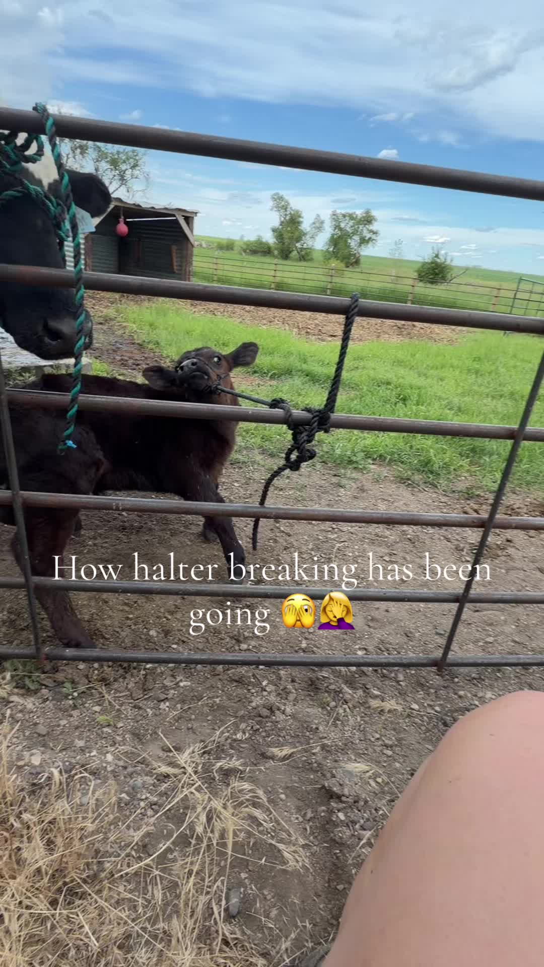 @Ella