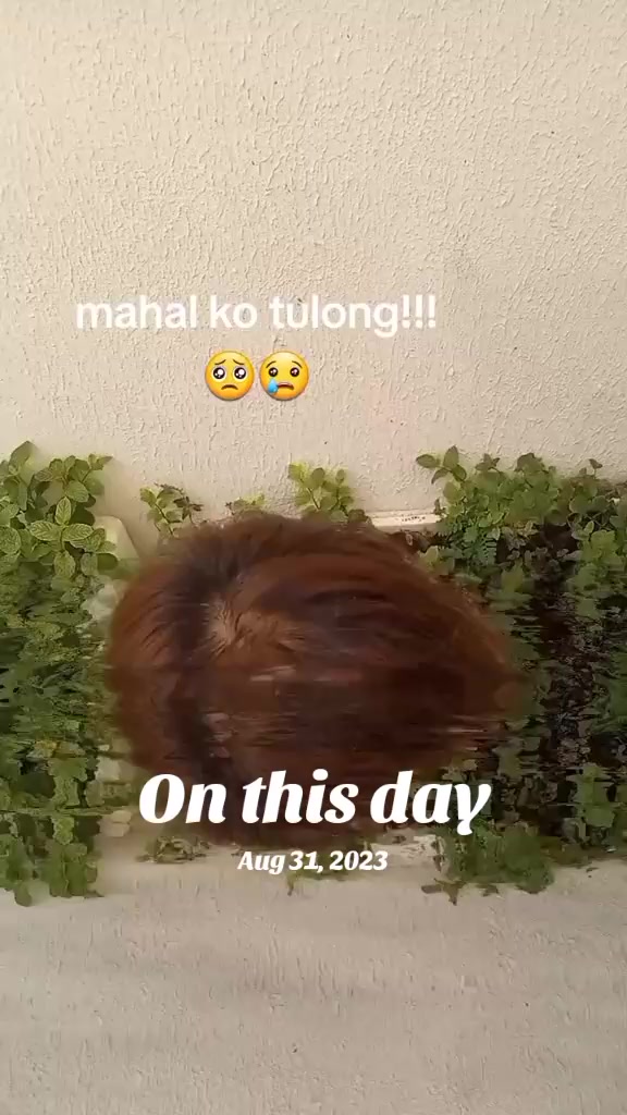 @Ayesha.. Phillipines 🇵🇭 💔