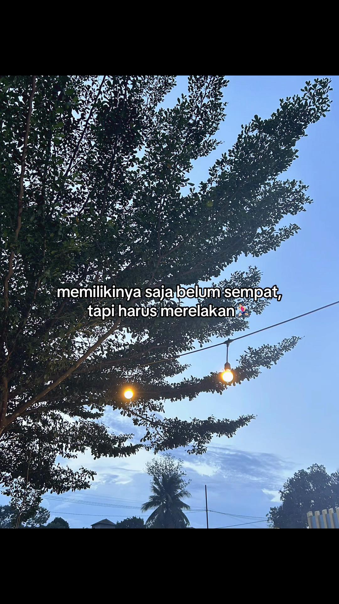 @pall