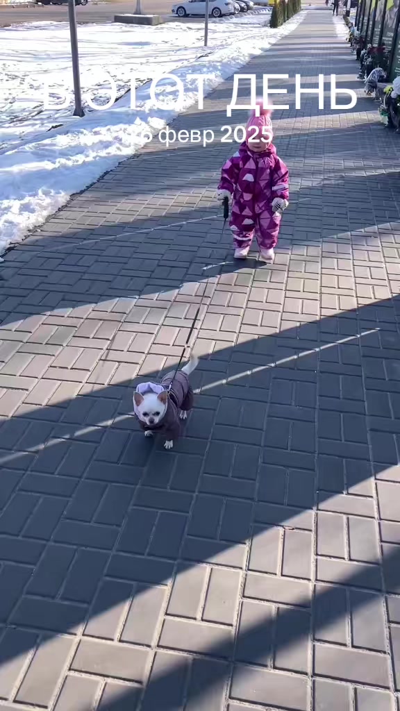 @Анжеліка Циркаль
