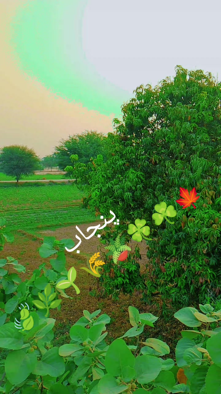 @bhai jaan