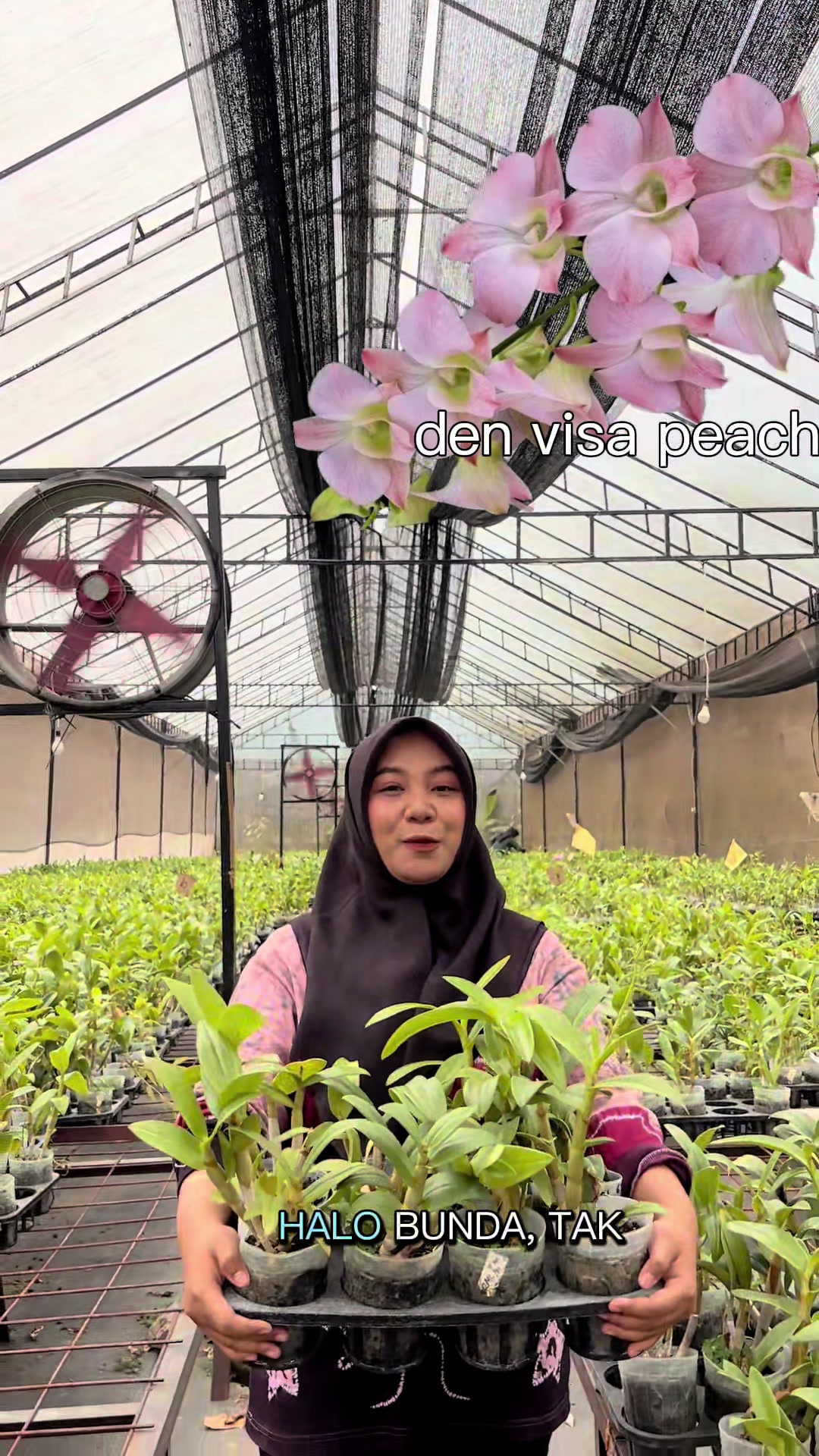 @Griya sekarindo utama