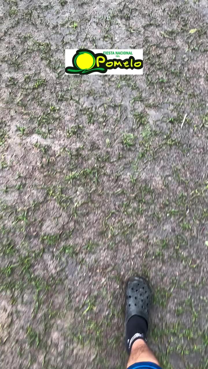 @Alexis_ortiiz22