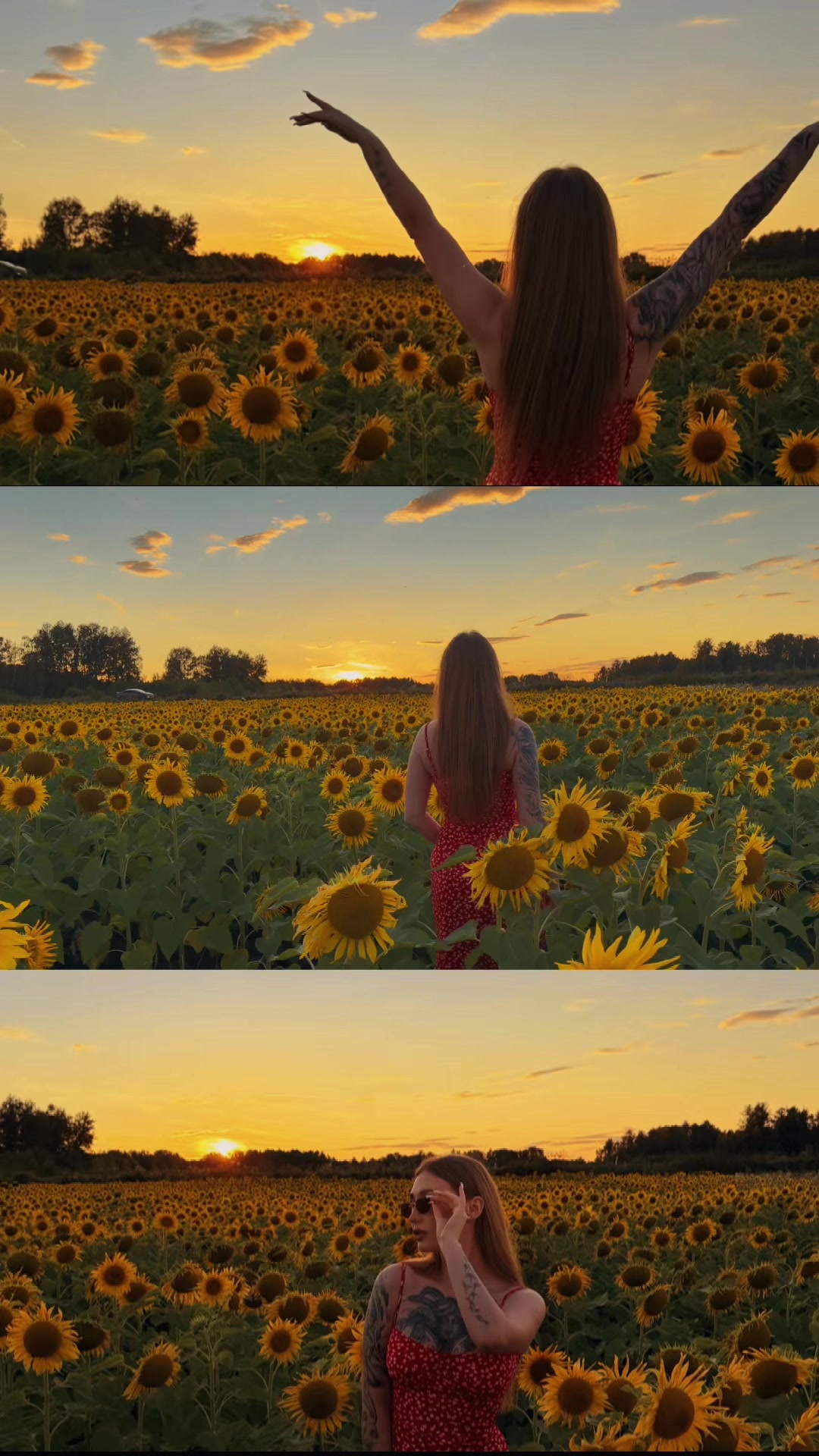 @Anlina_W