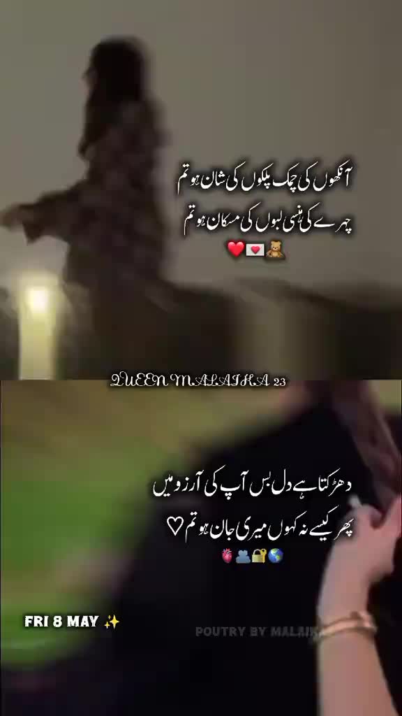@🕊.⋆