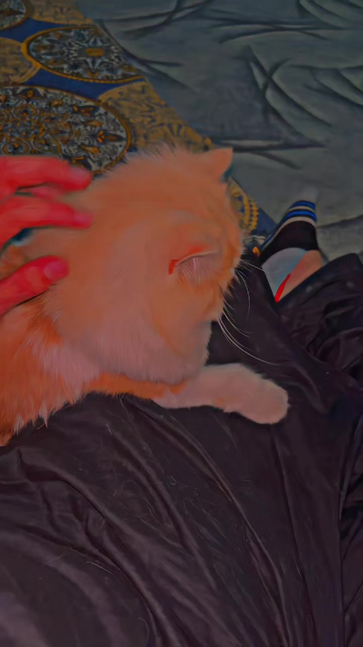 @°𝘀𝕒𝔫𝕤𝗶√🦂