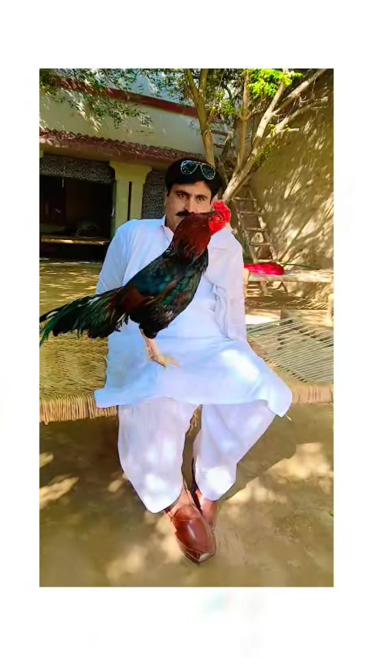 @عمران _خان_ وتہ خیل