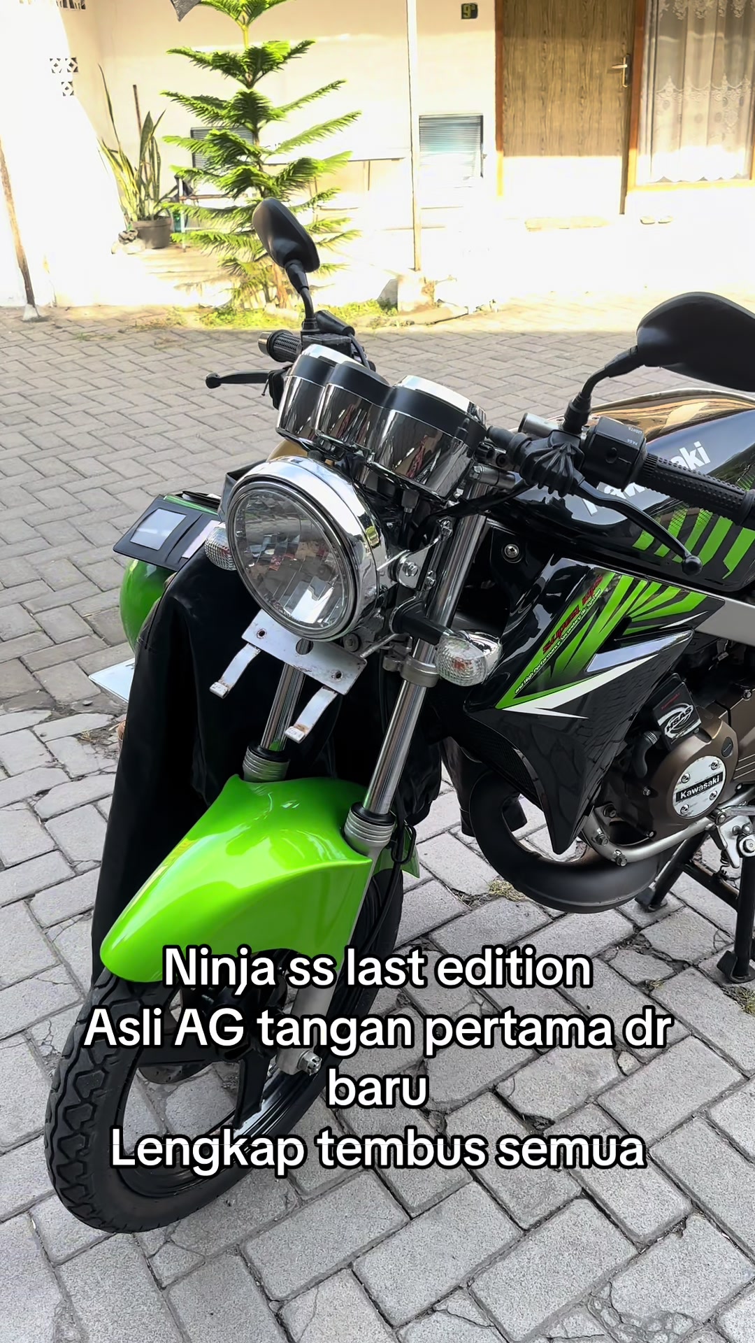 @scooteristmurphys