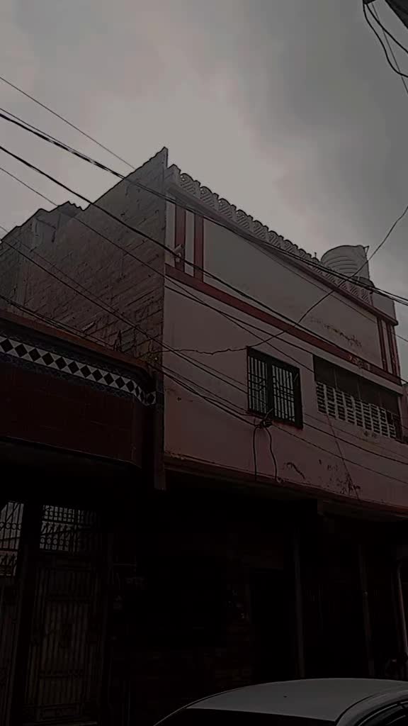 @333 Tiger