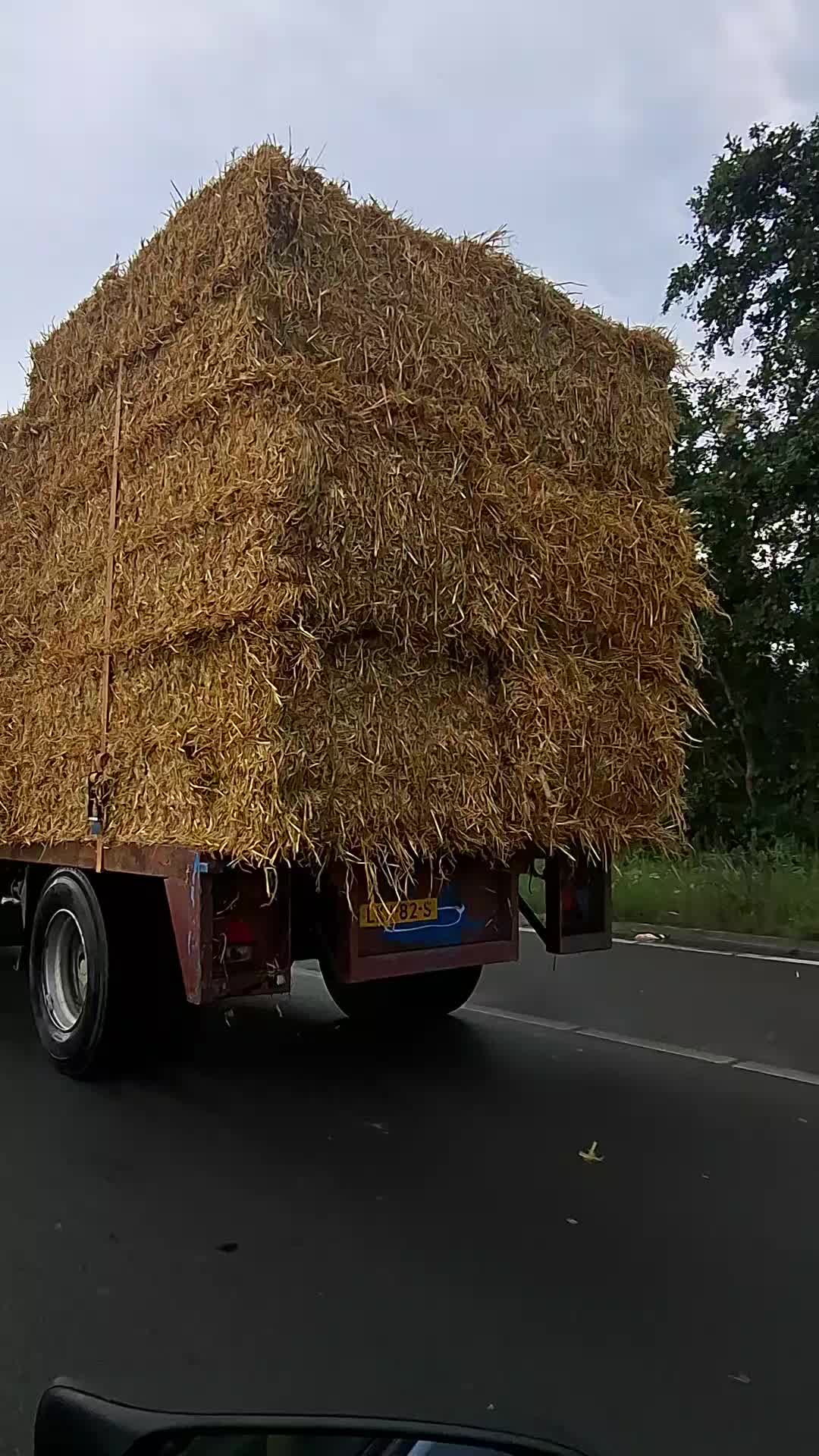 @schapenfokkerij l.kammeraad