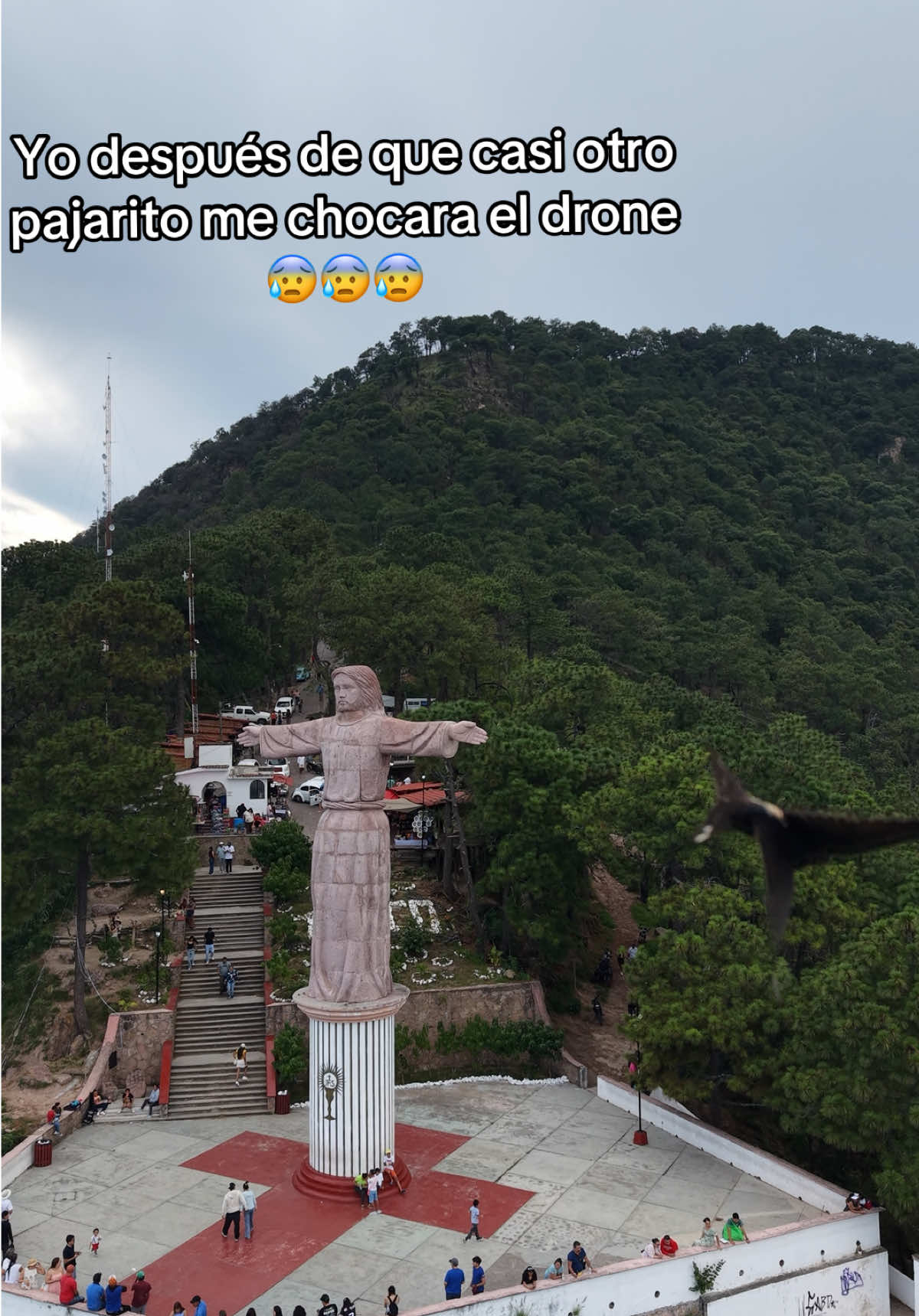@Luis Fernando Coello