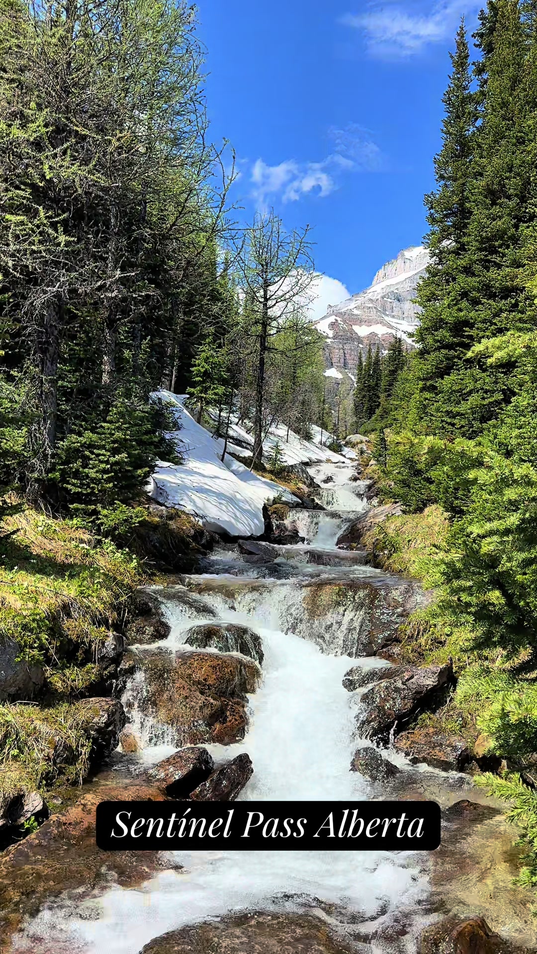 @Experience hiking in Canada