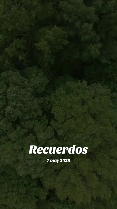 @Para dar chicote