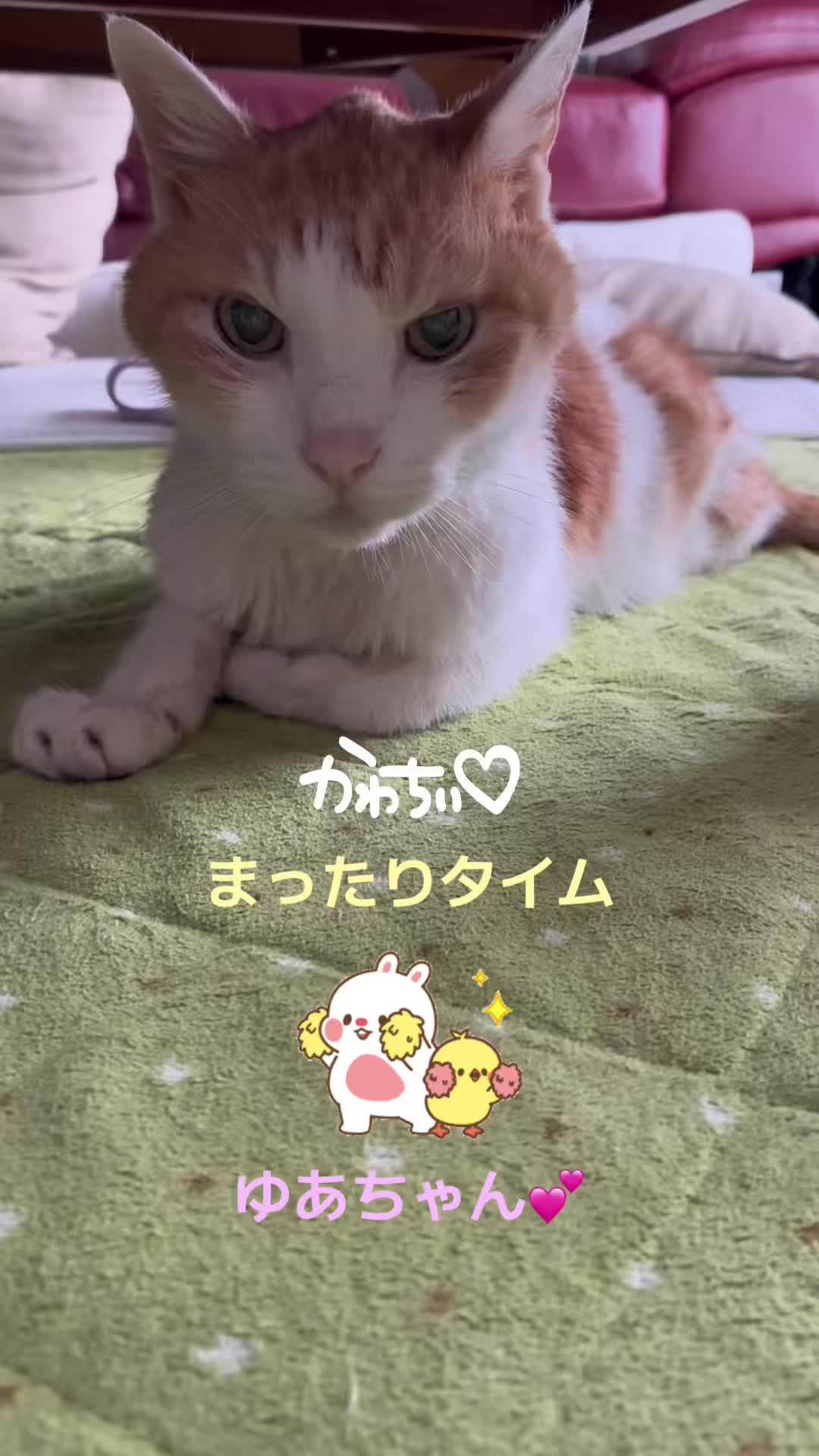 @ゆあ