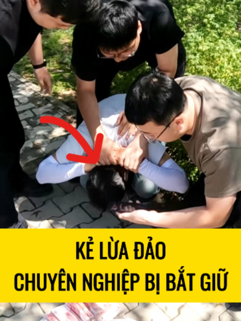 @Bin h&agrave;i hước