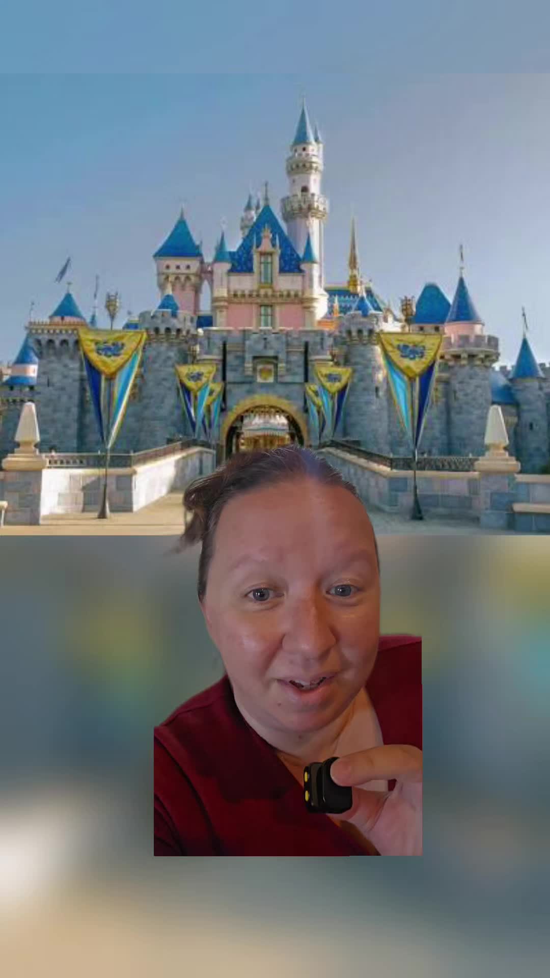 @Sharon's Theme Park Musts