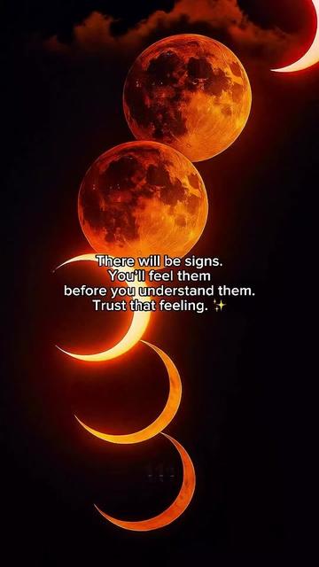 @🌙𝔏𝔲𝔫𝔞 V𝔢𝔦l 🖤 ☽◯☾✨️🪽