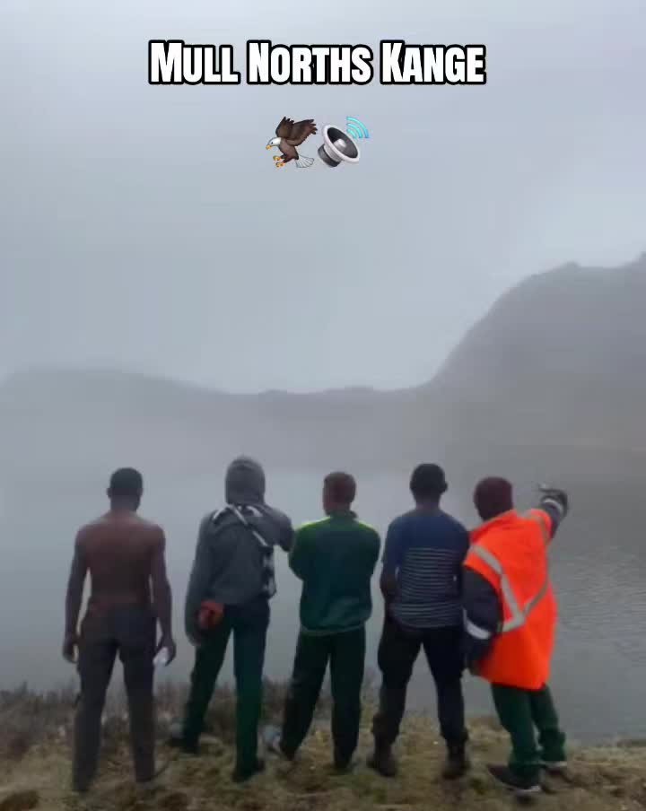 @Mdfkn_Junky⳻᷼⳺🍃🇵🇬