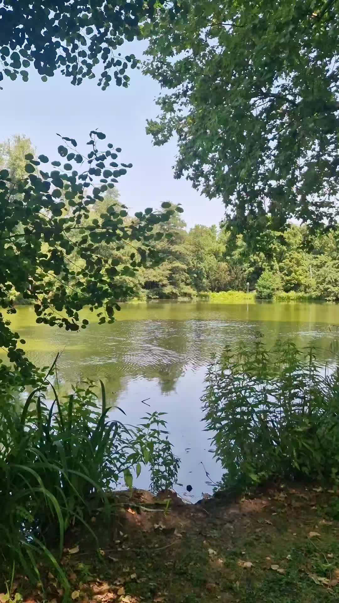 @Hüsi