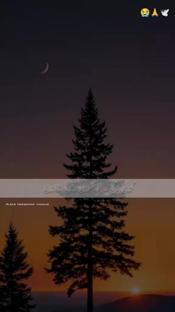 @بادشاہ