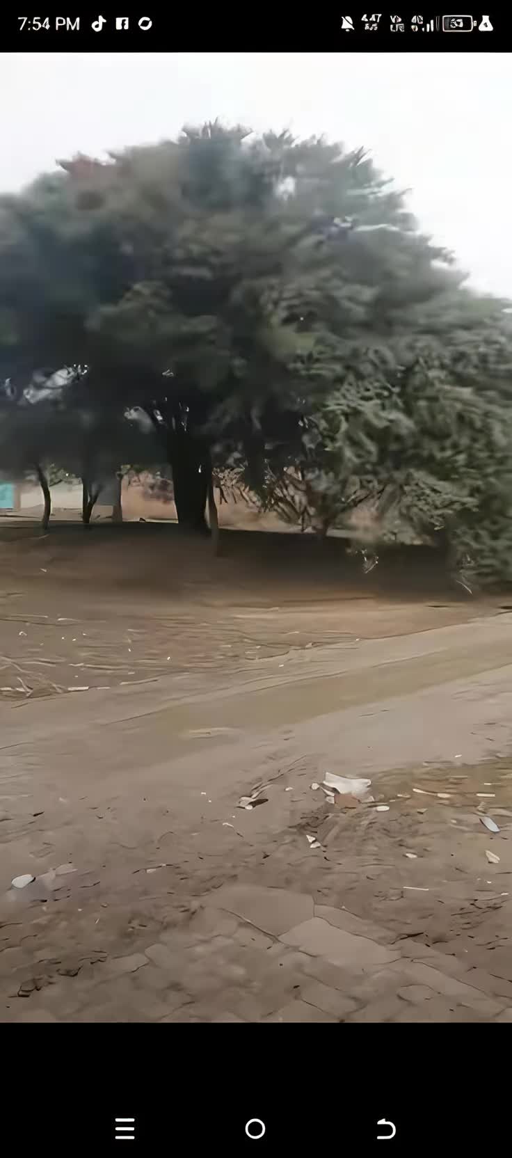 @محمد ابراہیم کشمیری 786