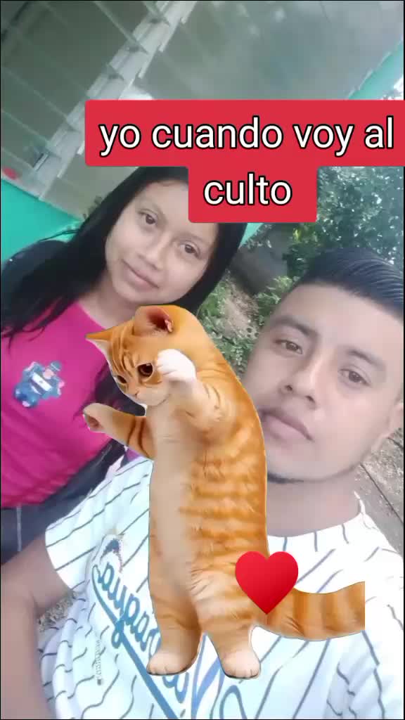 @user6179463145255