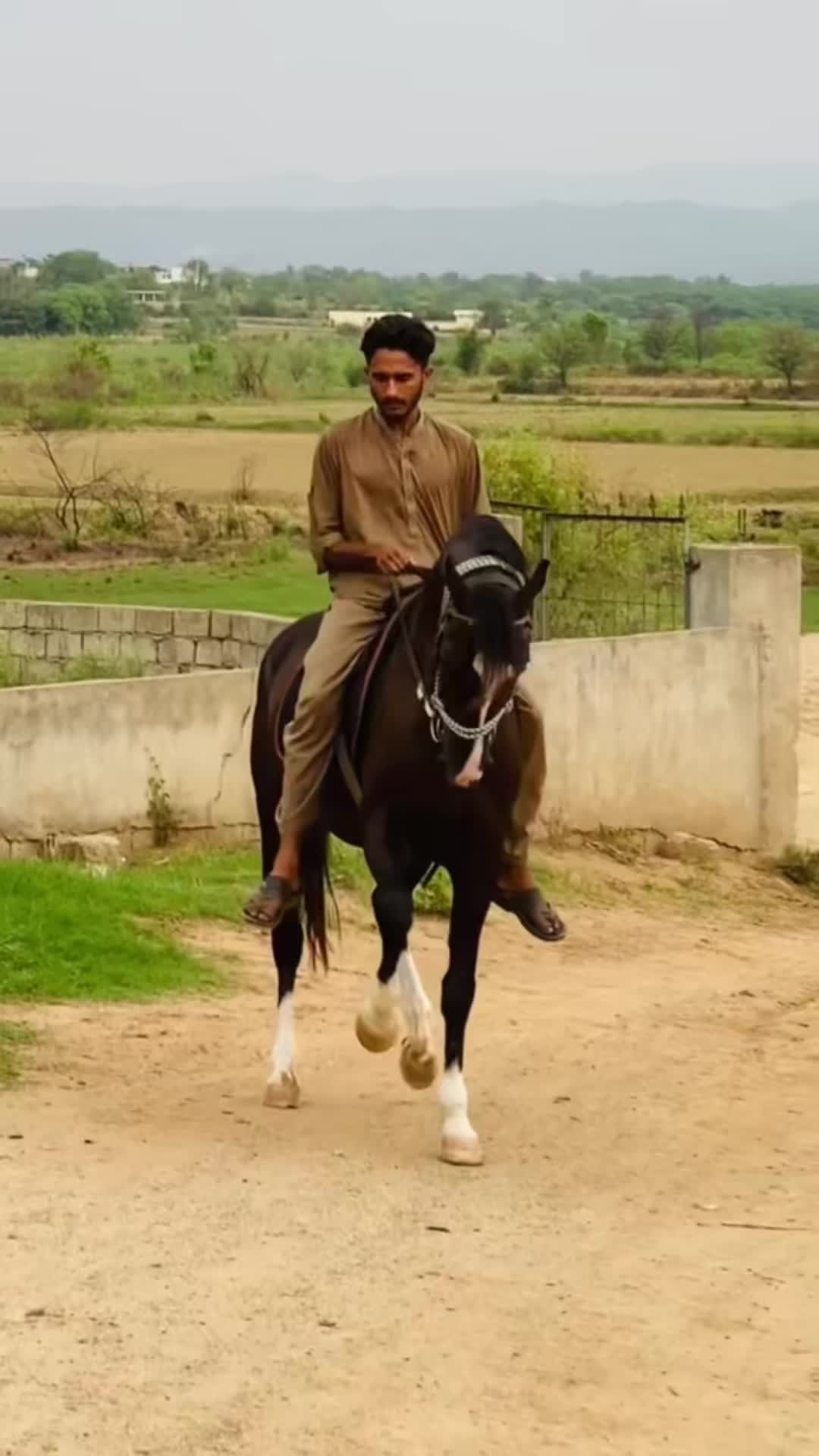 @Ch Hammad bokan ♥️🐎