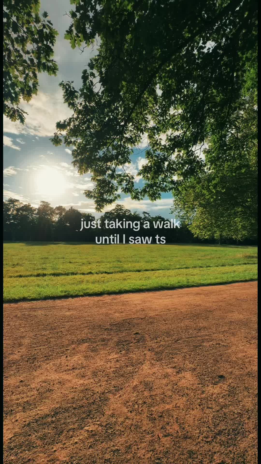 @..:.&rsaquo;:ℳ.:..&lsaquo;: