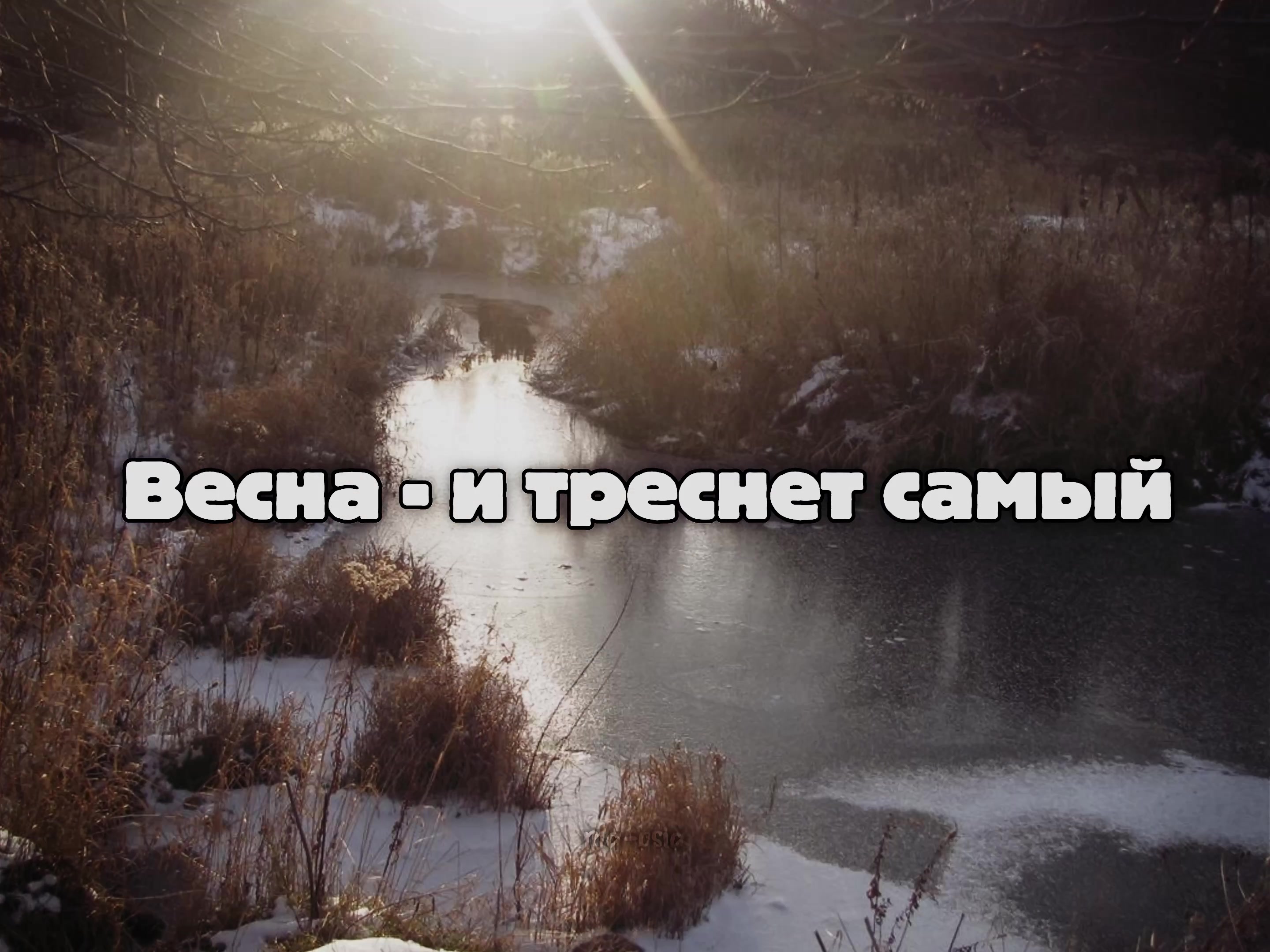 @маося✿*゚︎