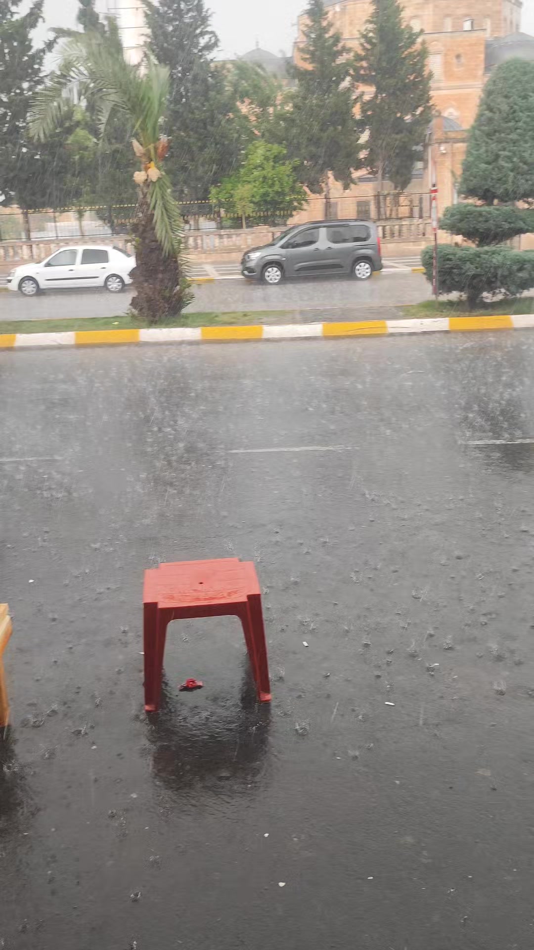 @&Ccedil;amlık vitamin