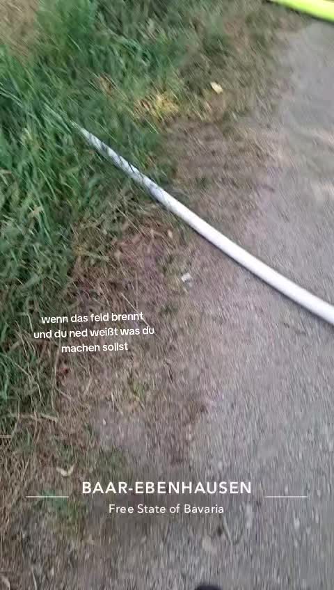 @elias_ingo_18