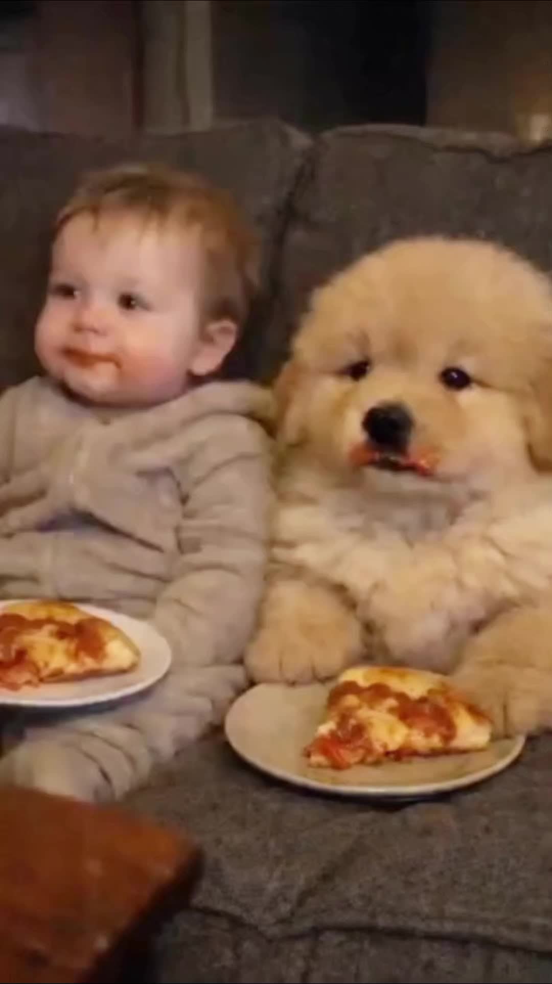 @FUNNY ZA2