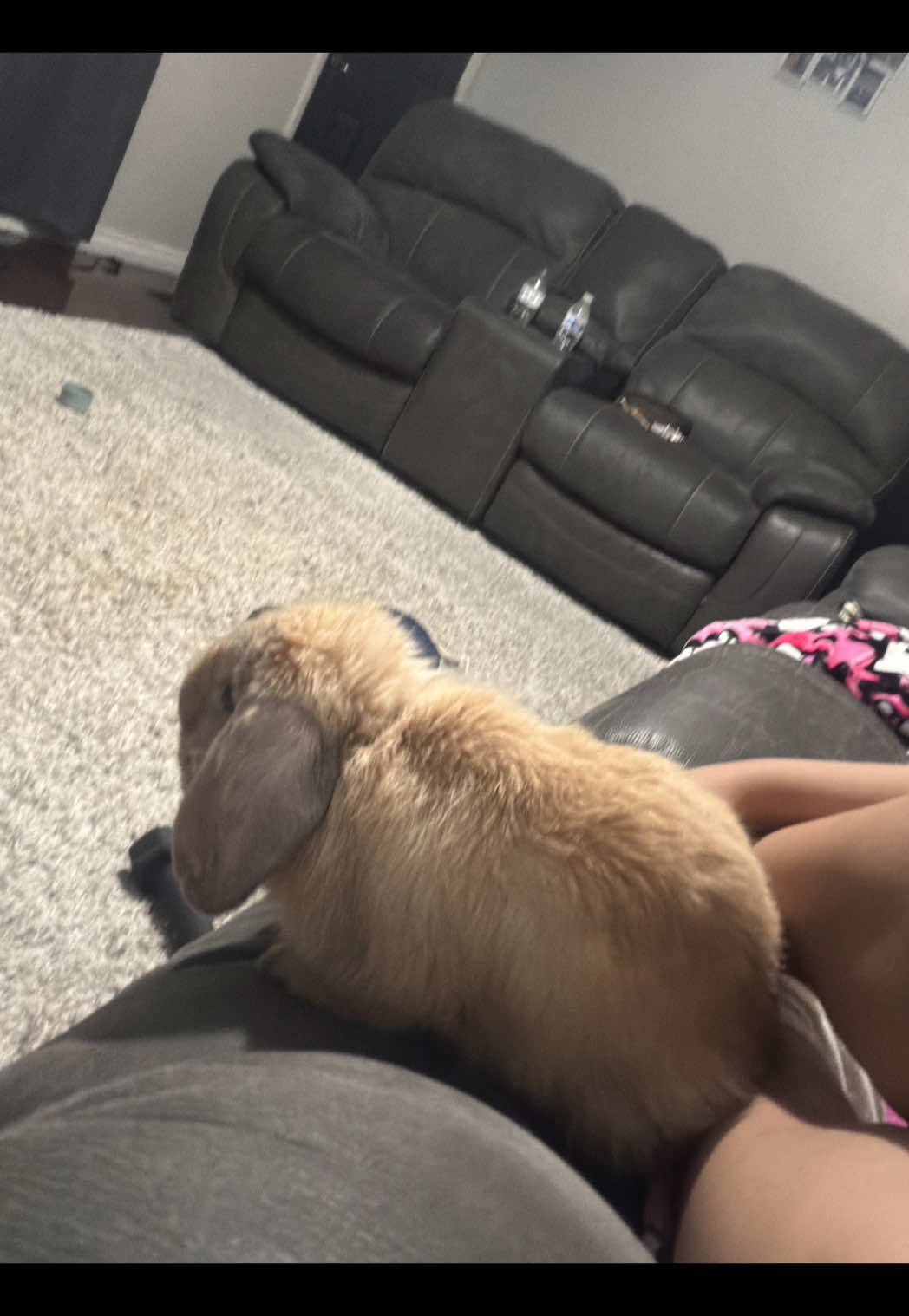 @jazmynꨄ︎