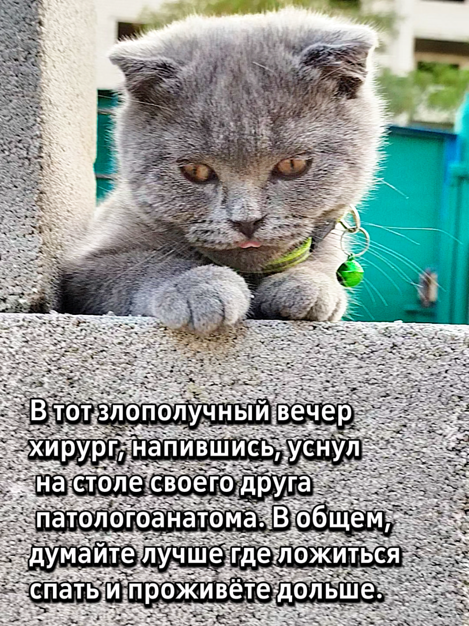 @😻Риччи&Джесси🐈Масик👼&Андрей