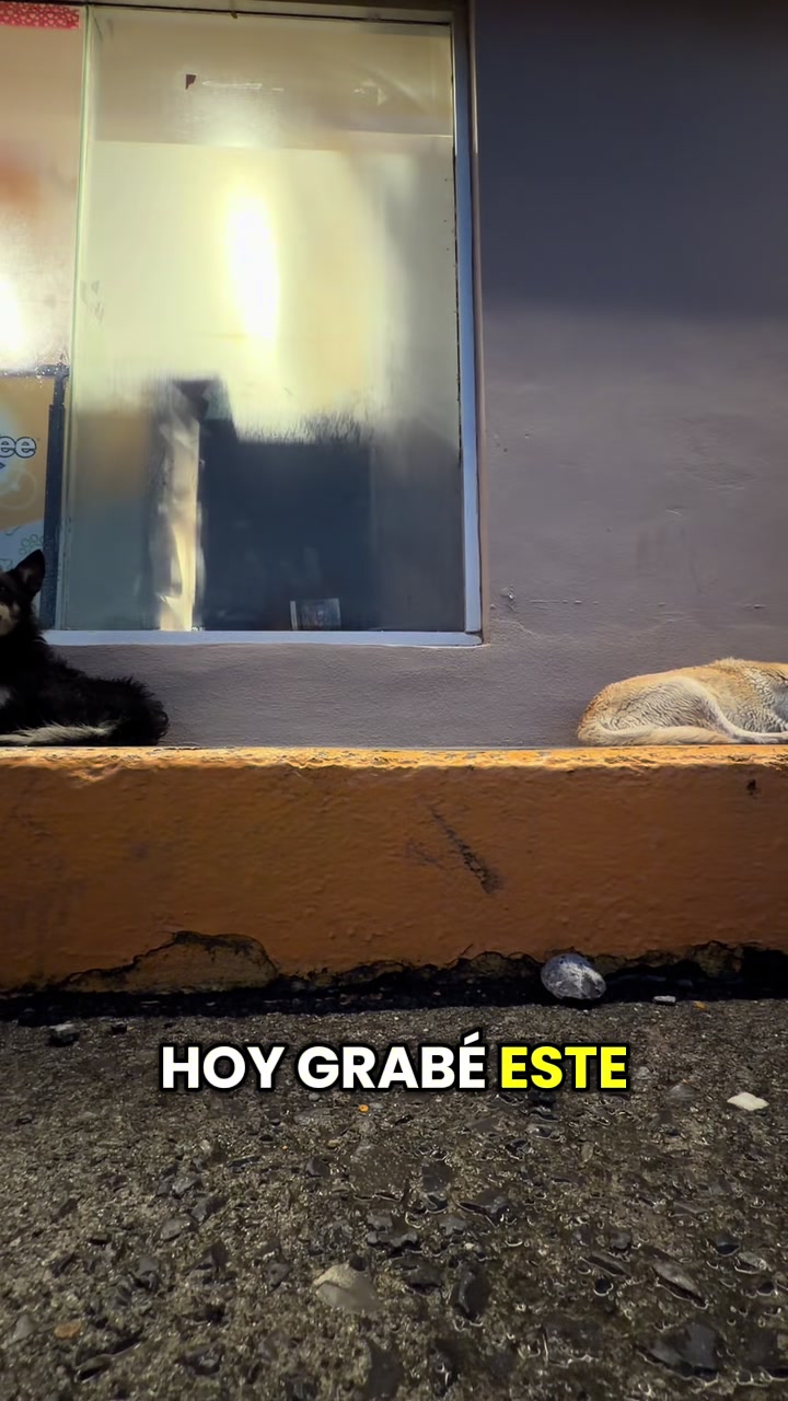 @Priscila Rojas