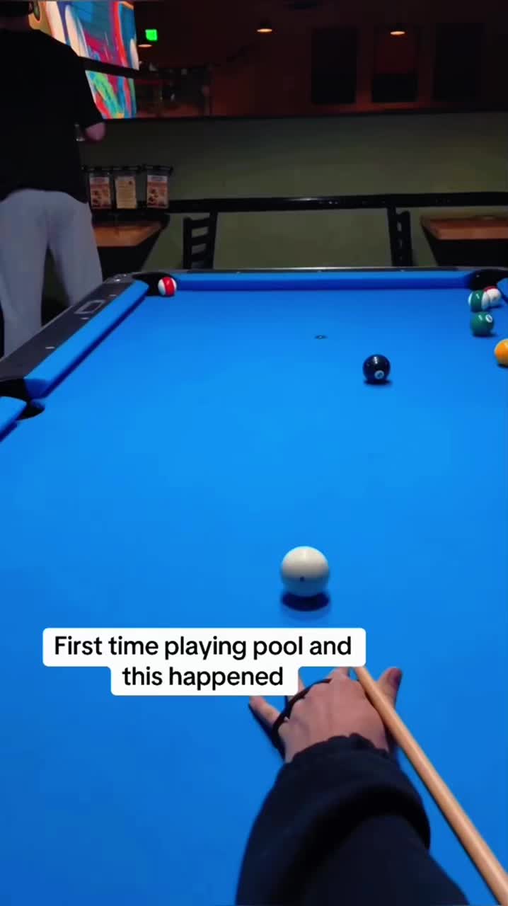 @petfunnytime6368
